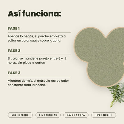 Así funciona Arteva: efecto sostenido entre 8 y 12 horas, en tres fases