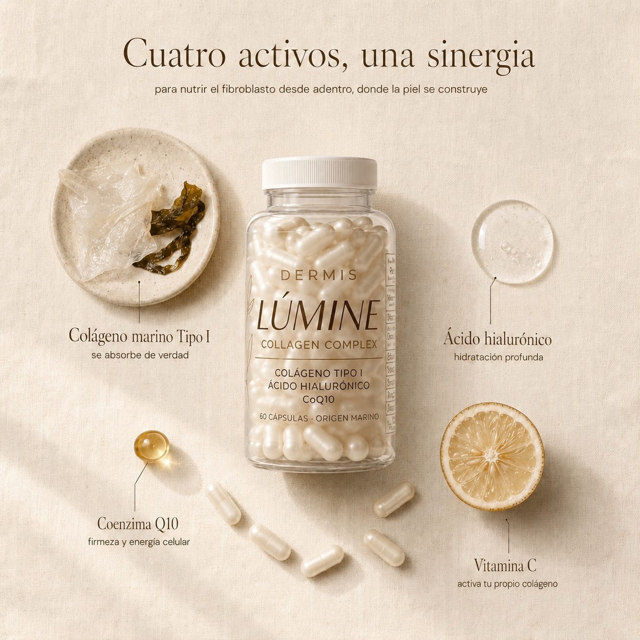 Dermis · Colágeno Marino + Vitaminas